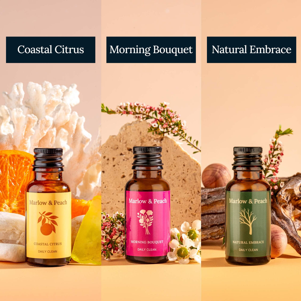 Signature Starter Kit