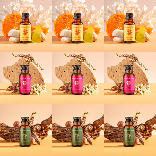 Signature Refill Pack (x9)