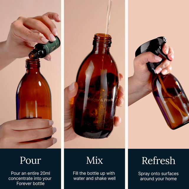 Signature Starter Kit + FREE Christmas Scent