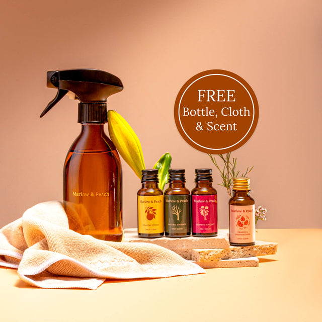 Signature Starter Kit + FREE Summer Scent