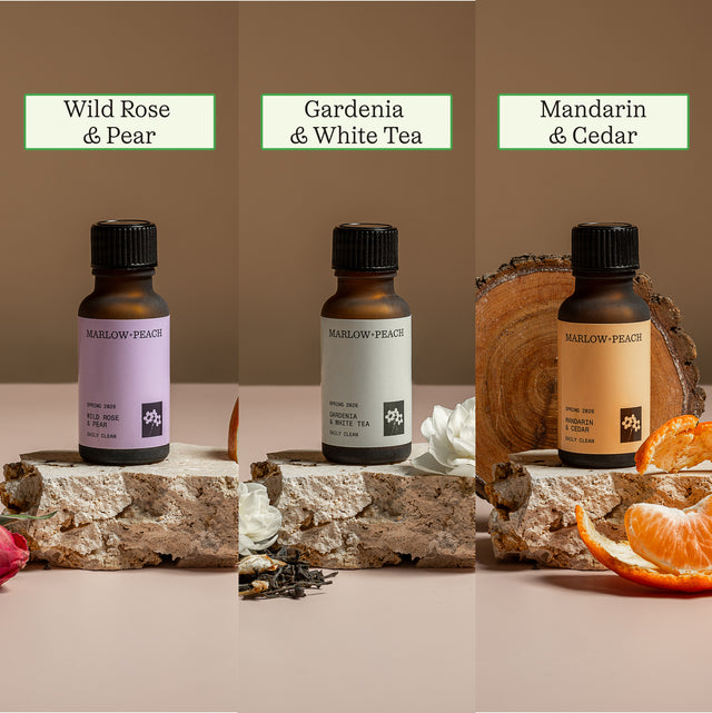Spring Starter Kit (FREE Bottle & Cloth)
