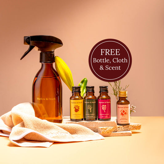 Signature Starter Kit + FREE Christmas Scent