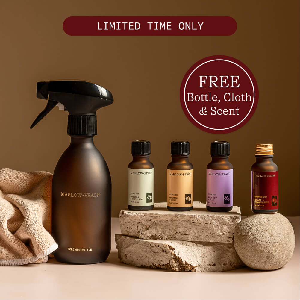 [TEST ONLY] Spring Starter Kit (FREE Bottle, Cloth & Christmas Scent)